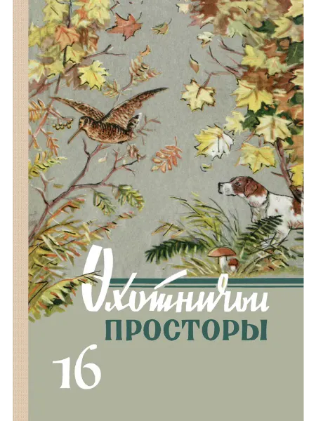 Физкультура и спорт Охотничьи просторы. Книга 16 (репринтное издание)