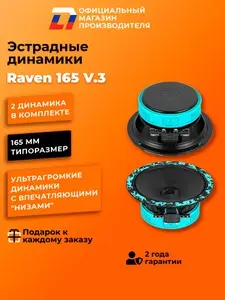 Динамики автомобильные 16 см DL Audio Raven 165 V.3 пара