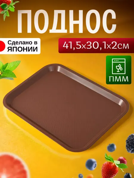 ENTEC Поднос пластиковый прямоугольный 41,5х30,1х2 см