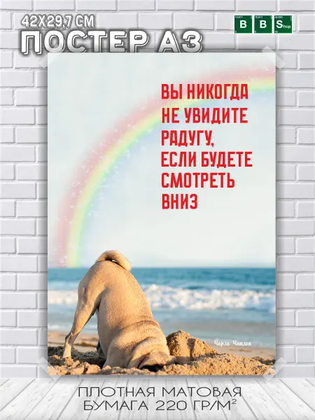 Breaking Bad Shop Постер мотивационный с надписью Увидьте радугу
