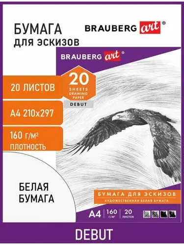 Папка для рисования А4, 20 листов, 160 г/м2, Brauberg, 210х297 мм, Орел