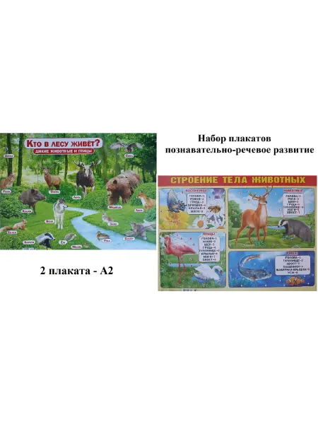 Набор плакатов Познавательно-речевое развитие 2 детали А2