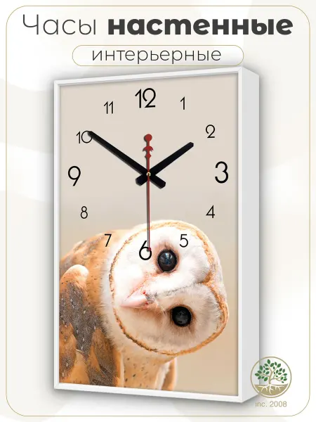 Topposters Часы картина настенные интерьерные 35х57 см. Бесшумные. Сова