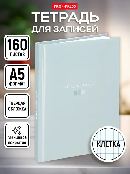 Prof-Press Записная книжка А5 блокнот 160 листов в клетку