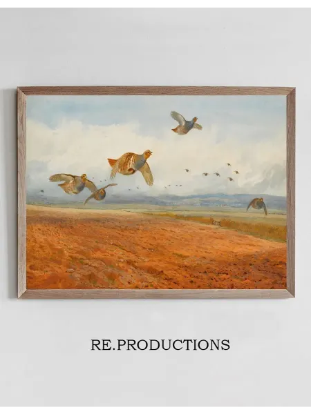 Re.productions Постер A Covey of Grey Partridge in - Archibald Thorburn