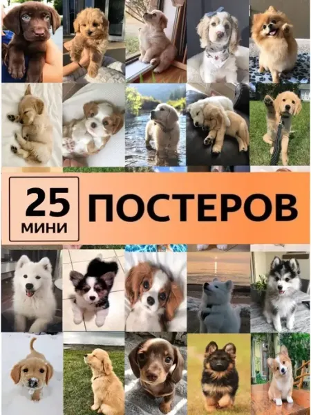 ТипоБереста постеры Карточки с животными щенята собаки