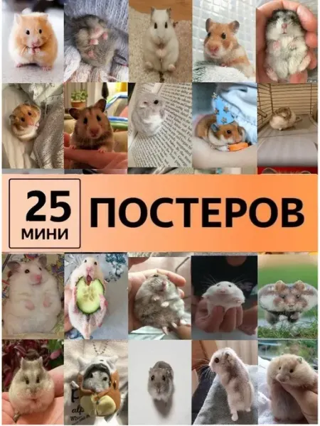 ТипоБереста постеры Карточки в детскую хомячки хомяки