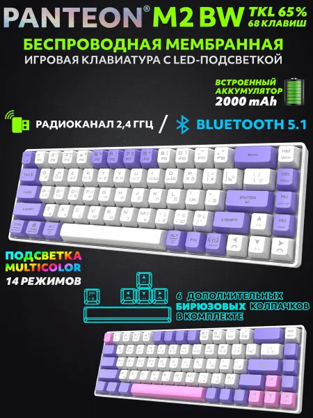 JETACCESS PANTEON M2 BW White-Purple (163) беспроводная клавиатура