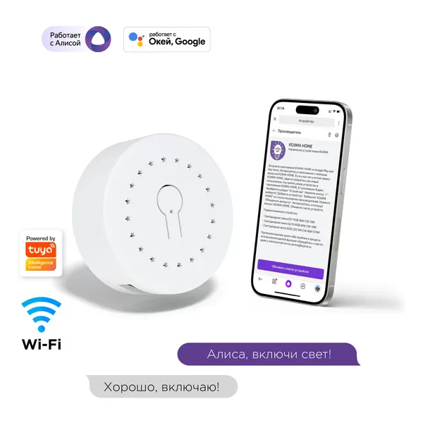Умное реле с Wi-Fi + 433МГц, мониторинг потребления, Яндекс Алисой, Google Home, Wireless Relay 16A