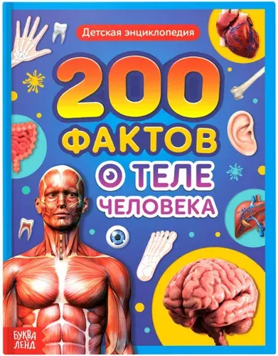 Детская энциклопедия "200 фактов о теле человека", познавательная книжка с картинками, 48 страниц в твердом переплете, 22,5 х 17 см, от 6 лет