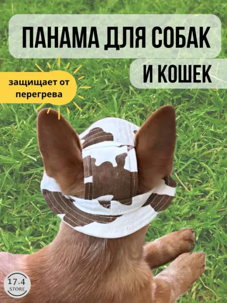 17.4STORE Кепка для собак и кошек