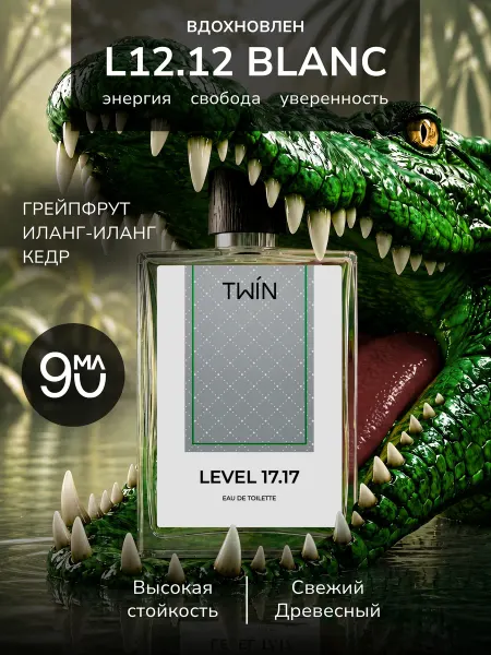 TWIN Духи мужские свежие Level 17.17, 90 мл