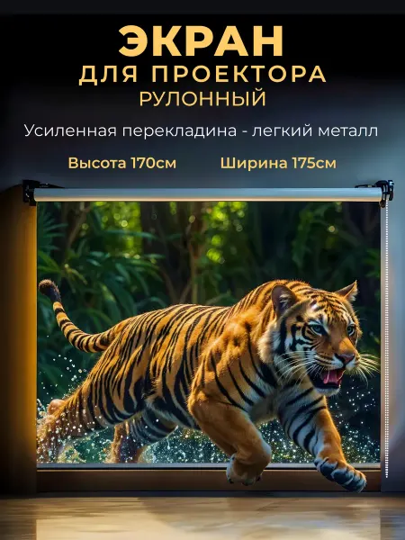 Экран для проектора рулонный 170 х 175 см