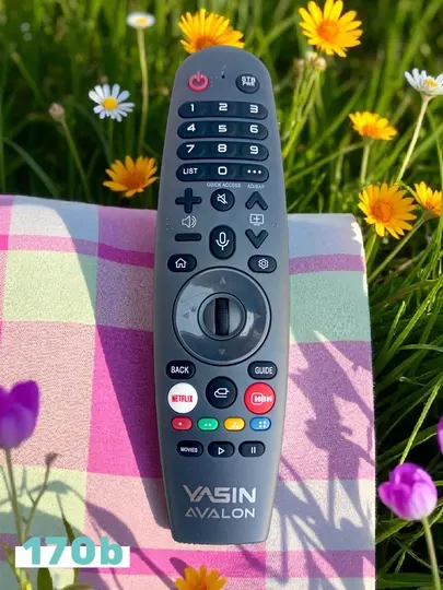 Пульт с голосовым управлением для AVALON smart TV универсальный 170b