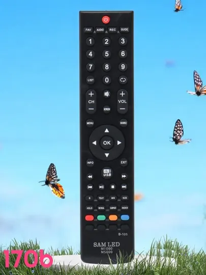 Универсальный пульт для телевизора Samsung M5000 170b
