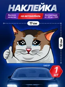 Наклейка на авто "Заплаканный кот - мем" 17х12