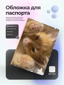Обложка на паспорт с рыжим котенком арт