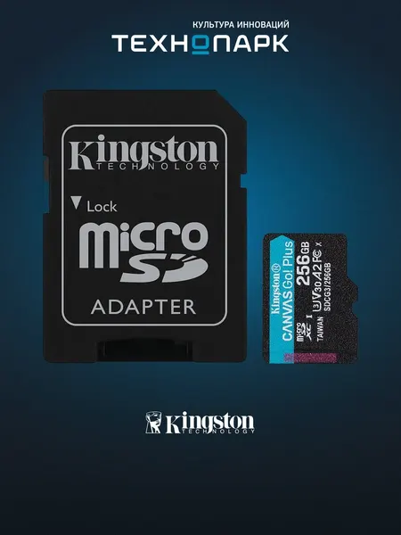 Карта памяти Kingston Canvas Go Plus G4 microSDXC 256 Гб (SDCG4/256GB)