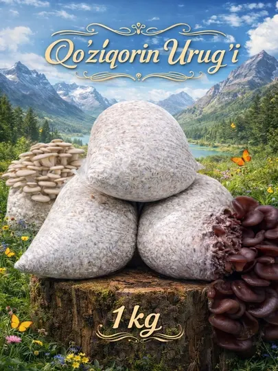 Мицелий грибов (зерновой), 1 кг