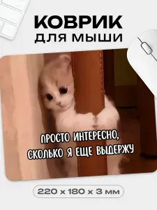 Коврик для мышки с приколом Котик, 18х22 см