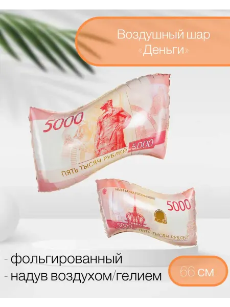 FlexMetal Воздушный шар Деньги, 5000 рублей 66 см