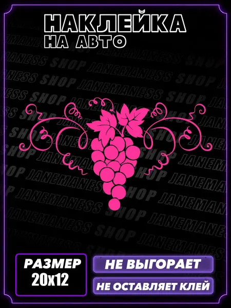 Janemaness Виниловая автонаклейка на авто Виноград