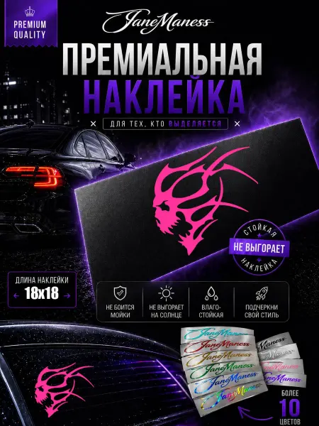 Janemaness Виниловая наклейка на авто Череп