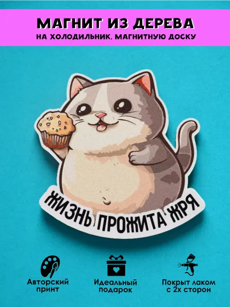 MR.ZNACHKOFF Магнит на холодильник прикольный Жизнь прожита жря