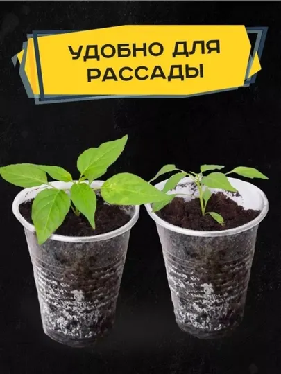 Одноразовый пластиковый стаканчик для кулера, 200 мл 100 штук