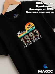 Футболка Всё в цвет Футболка хлопковая Vintage 1993 Limited Edition