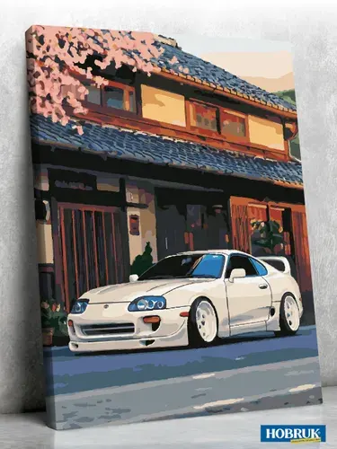 Картина по номерам Hobruk "Toyota Supra MK IV 1995", на холсте на подрамнике 40х50, раскраска по номерам, набор для творчества, животные/ кот