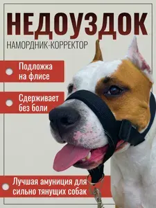 Намордник для собак недоуздок амуниция