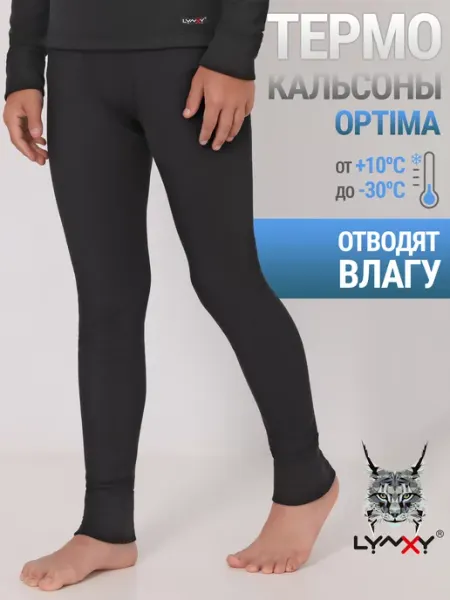 Lynxy Термобрюки спортивные с начесом зима Optima