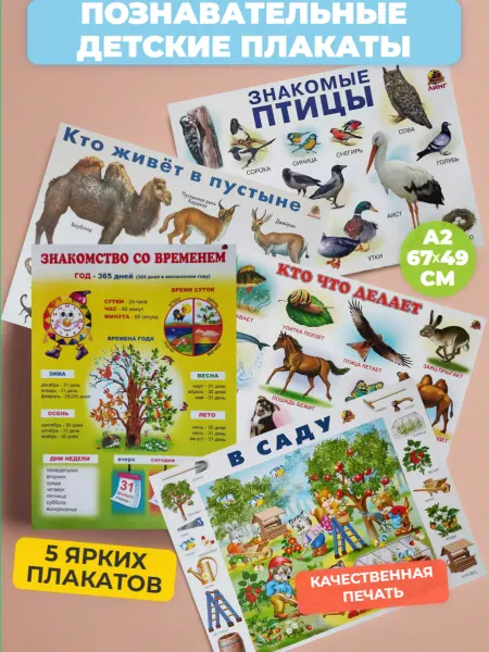 ЛИНГ Набор обучающих плакатов А2, 5 штук