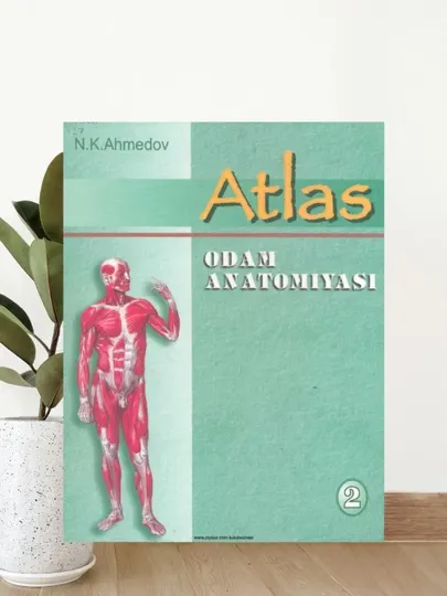 Учебник Атлас анатомии человека 2 том, медицинская книга для студентов