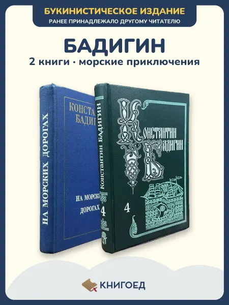 Книгоед Бадигин морские приключения Арктика романы 2 книги история
