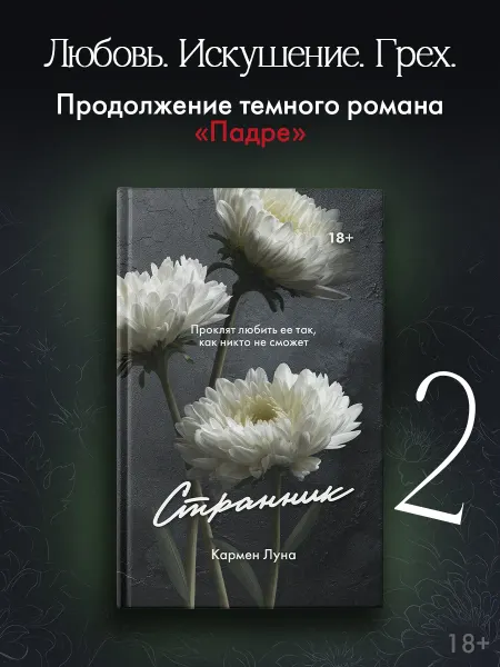 Издательство АСТ Странник. Темный роман. Книга 2