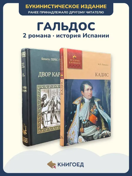 Книгоед Гальдос исторические романы Испания классика 2 книги проза