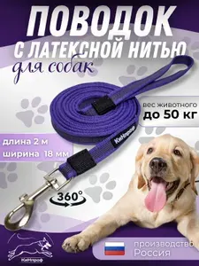 Поводок прорезиненный для собак (с латексной нитью),стальной карабин, длина 2 метра, фиолетовый