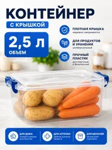 Контейнер для хранения с крышкой 2,5 л / продуктов и мелочей, пластиковый органайзер