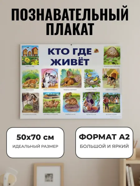 ЛИНГ Развивающий плакат А2. Кто где живет