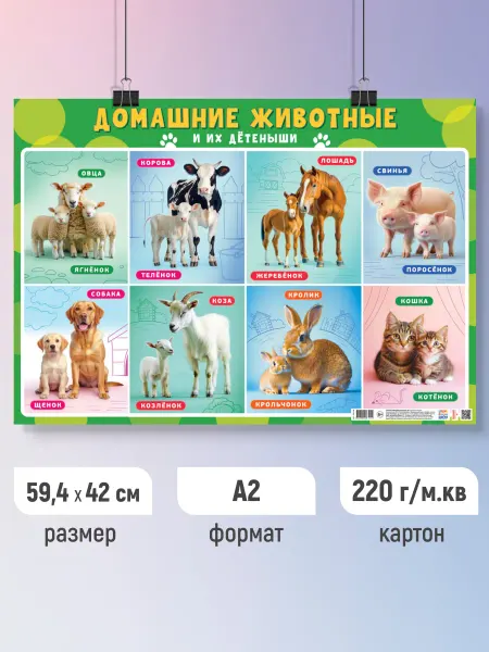 ЛиС Групп Детский обучающий плакат Домашние животные и их детеныши А2