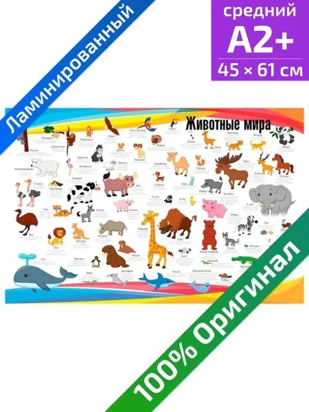 Квинг Животные мира для детей обучающий плакат А2 ламинированный