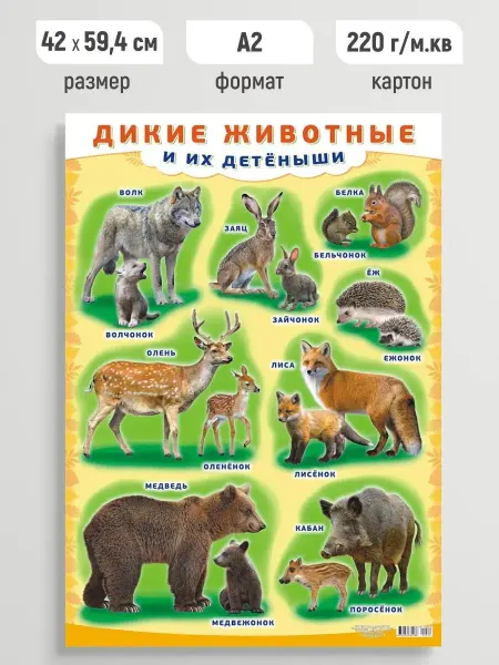 Линия успеха Детский обучающий плакат Дикие животные и их детеныши А2