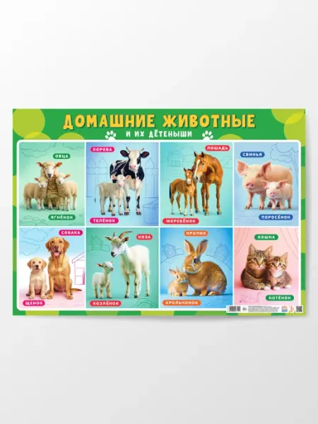 Компания ЛиС Обучающий плакат Домашние животные и их детёныши А2
