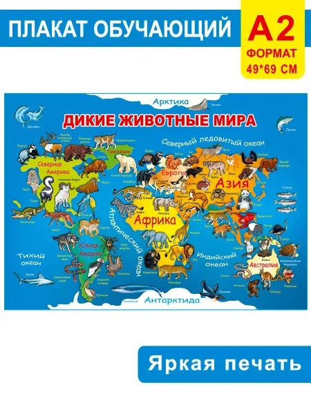 СтильМаркет Плакат Дикие животные мира на стену для школы детям А2