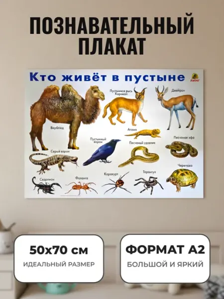 ЛИНГ Развивающий плакат А2. Кто живёт в пустыне