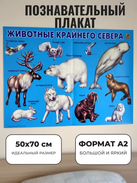 ЛИНГ Развивающий плакат А2. Животные Крайнего Севера