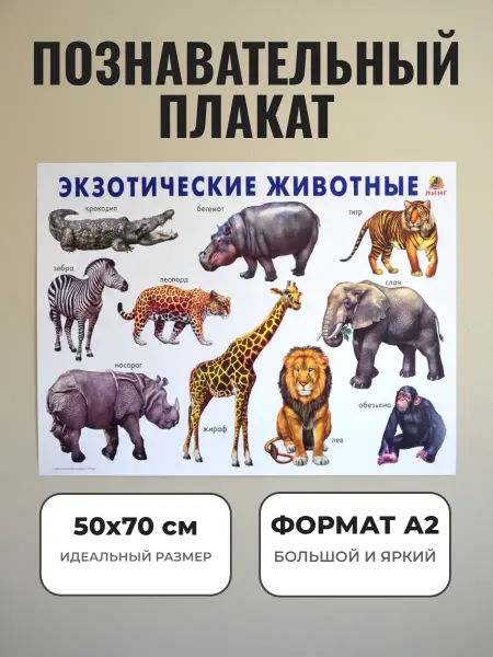 ЛИНГ Развивающий плакат А2. Экзотические животные
