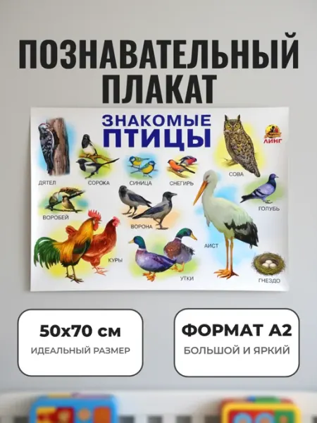 ЛИНГ Развивающий плакат А2. Знакомые птицы